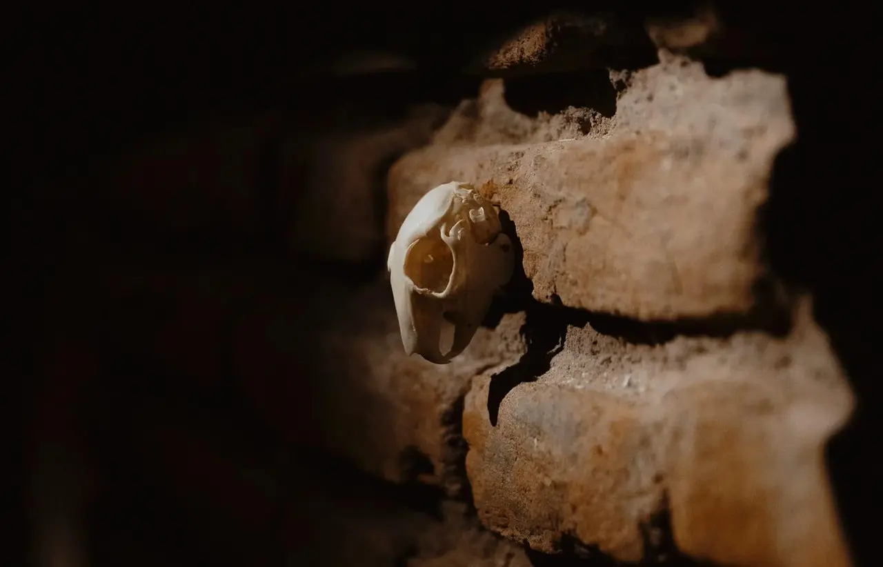 Strati exhibition view 1